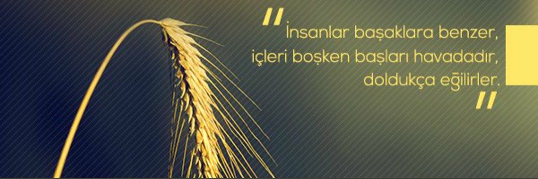 kasimerdogan's profile banner image