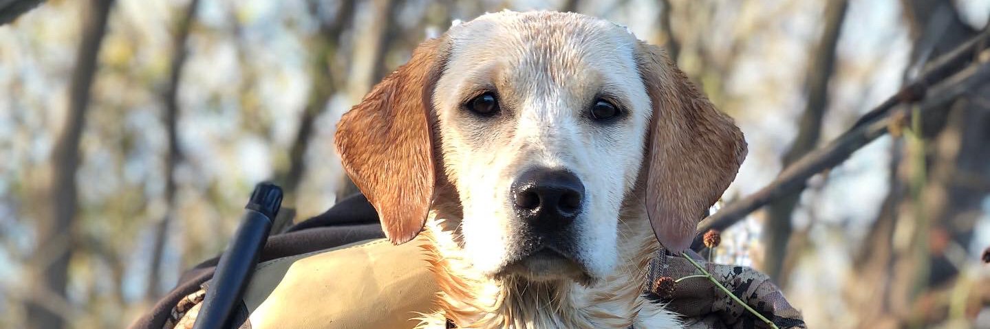 Stuart Hennigar banner