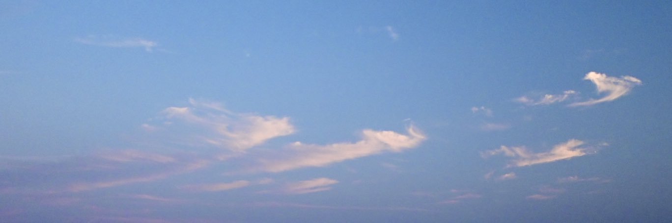 neRu_noDa15's profile banner image