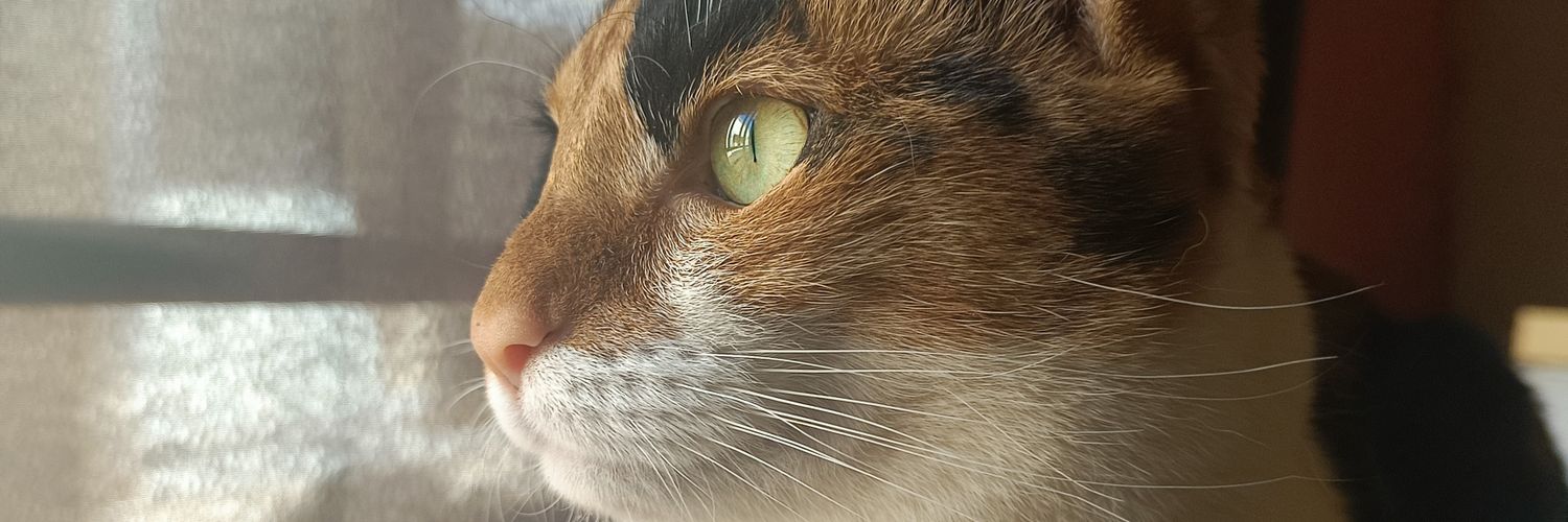 ListaLove's profile banner image