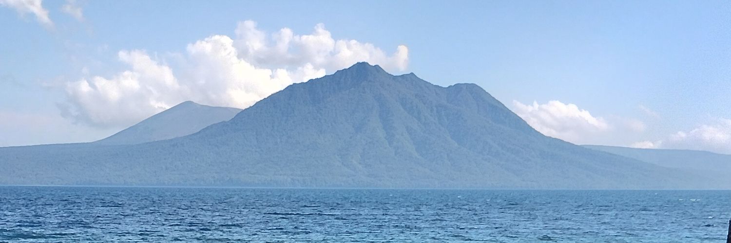 ぼるどる banner