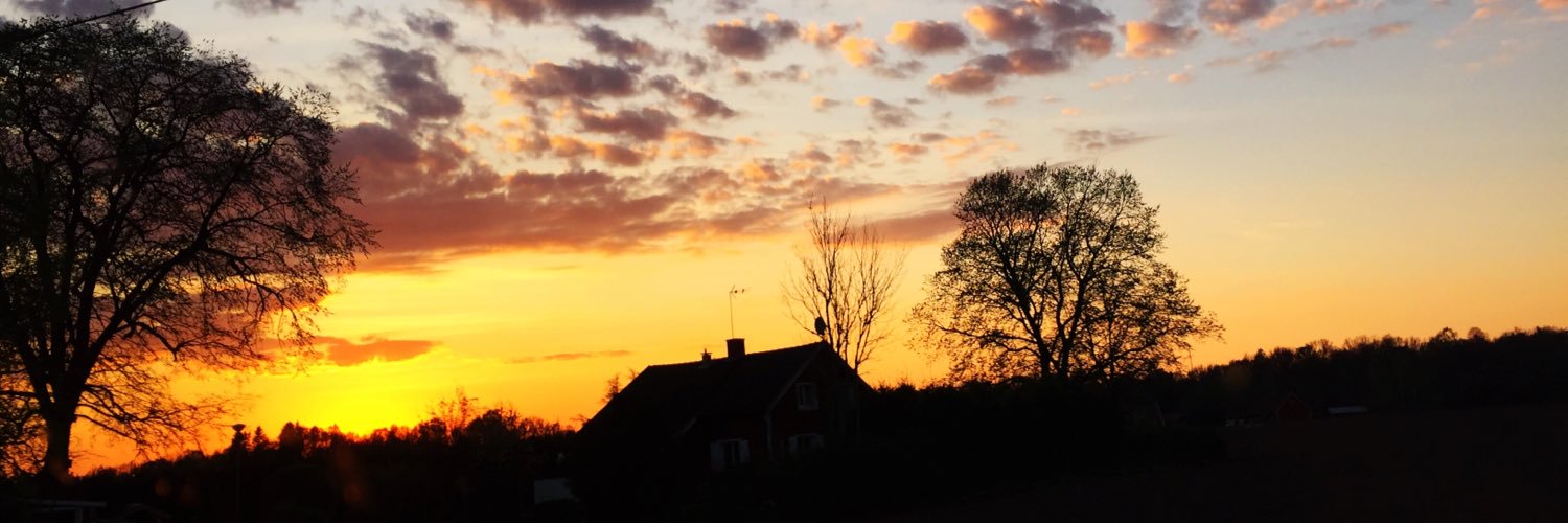 MaxWiklund96's profile banner image