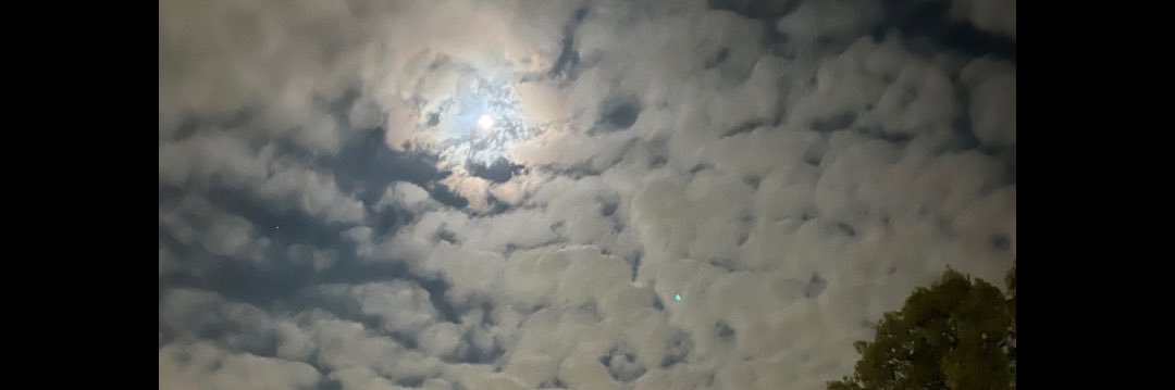 dduanyy's profile banner image