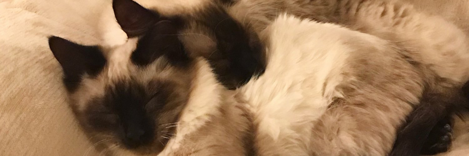 KelScharp's profile banner image
