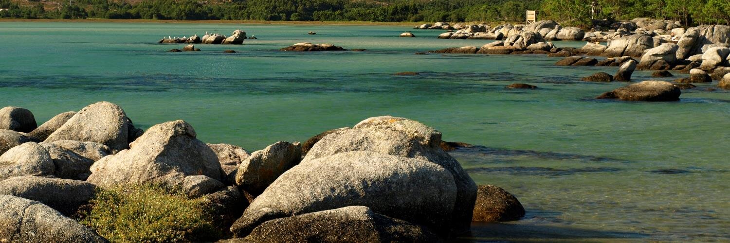 María José Serrano banner