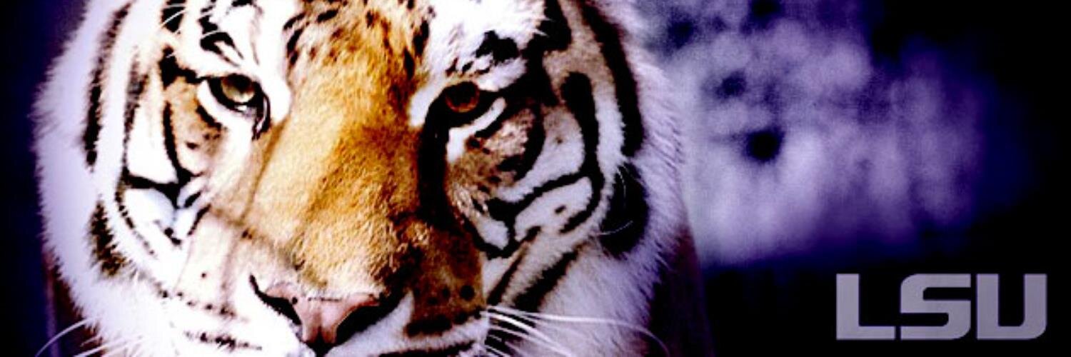 THELSUTIGA's profile banner image