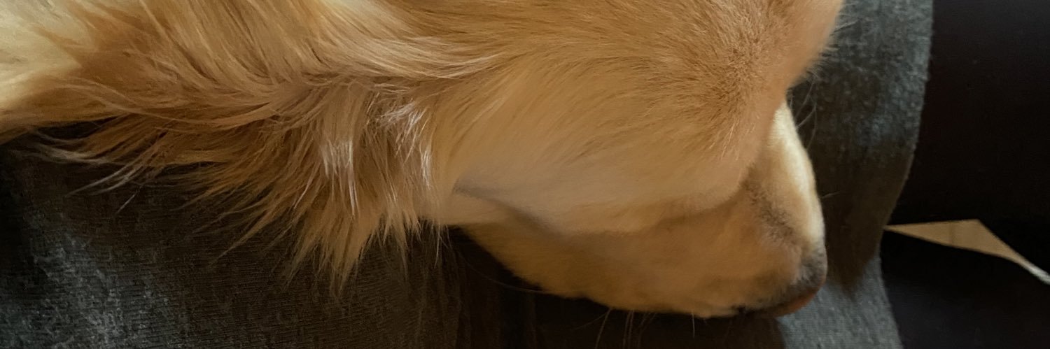 veroman_3's profile banner image