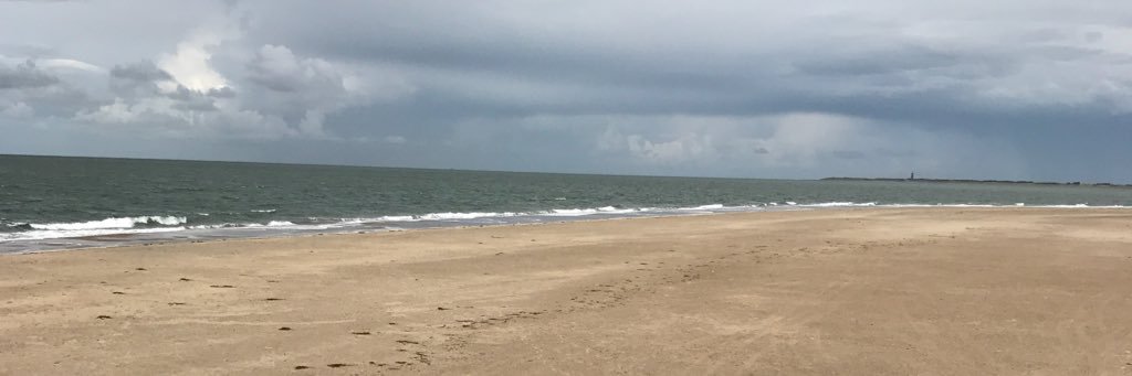 brigittedb's profile banner image