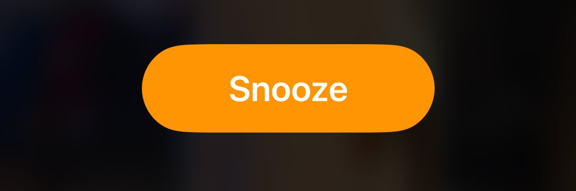 CONSTITUTIONAL REPUBLIC banner