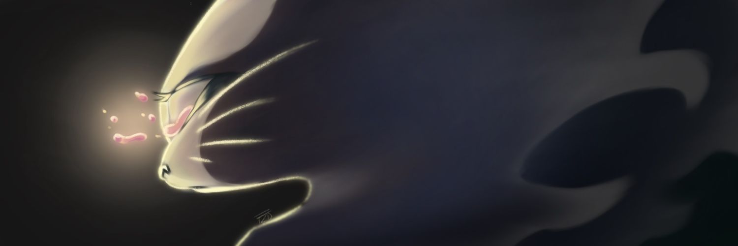 TZD's banner
