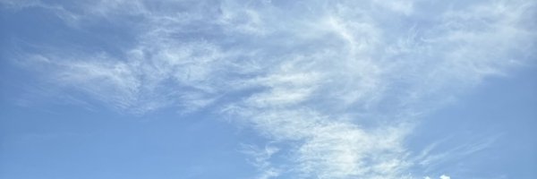 DDdiary_mj Profile Banner