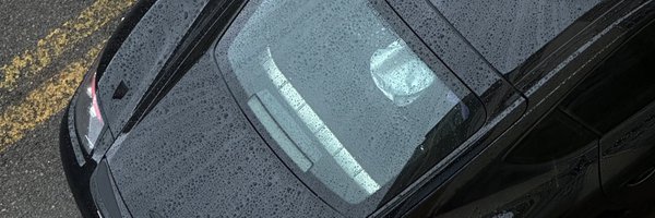 Zeddxu Profile Banner