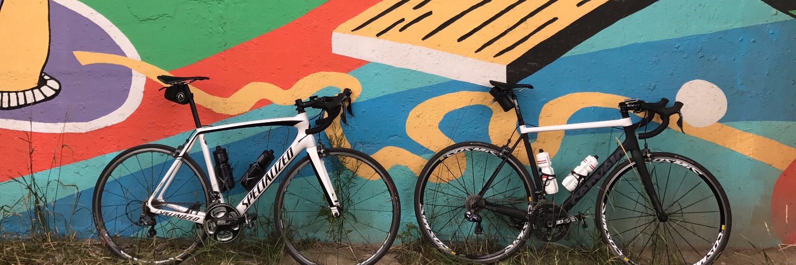 Anthony Smith banner