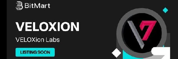 VeloXionLabs Profile Banner