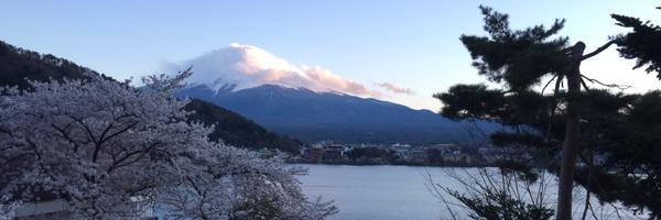 gadgetgem Profile Banner