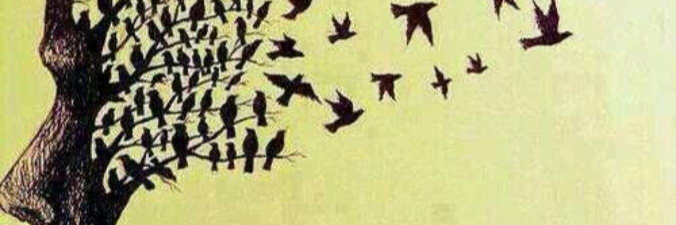 Recai Yahyaoğlu banner