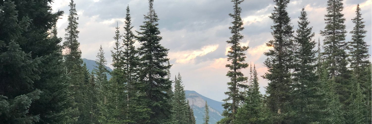 helllllojade's profile banner image