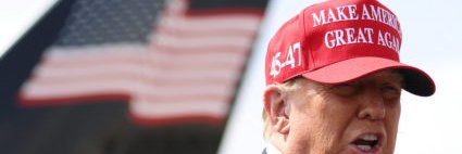 Conservative Liberty's banner