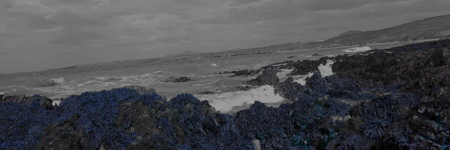 XRaidX's profile banner image