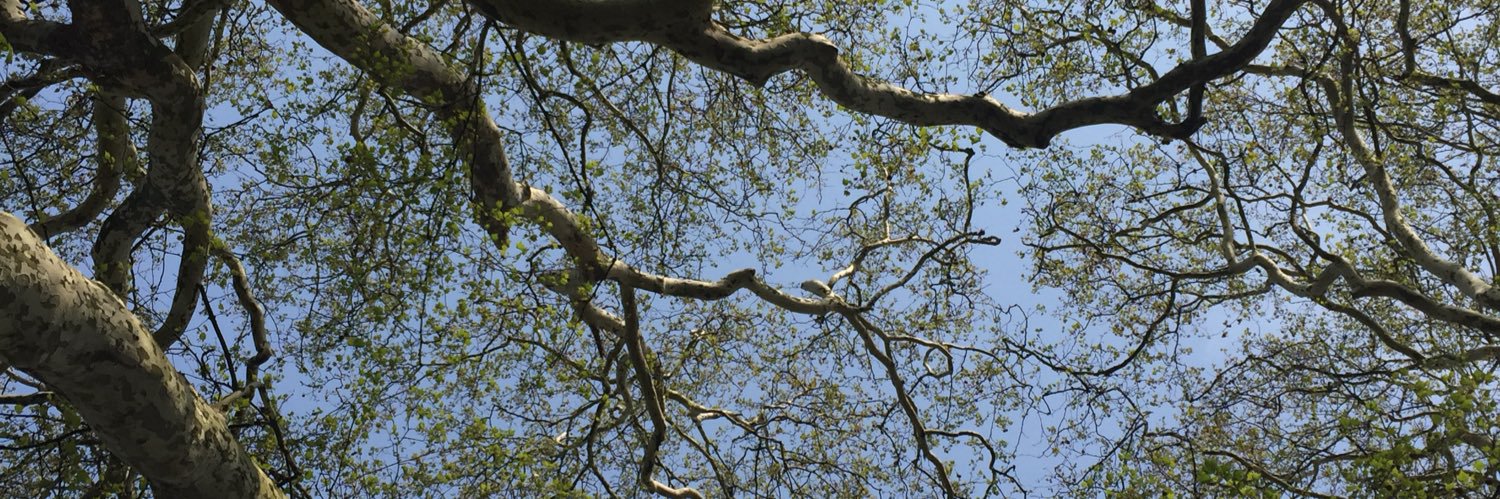 Deborah Benady 💙 banner