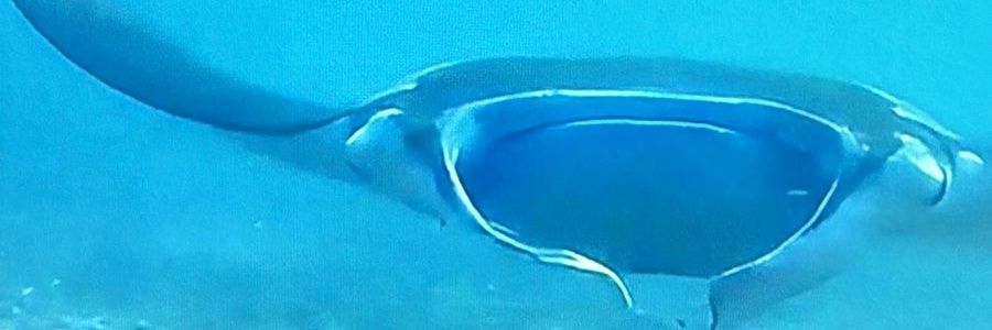 PascalLasmana's profile banner image