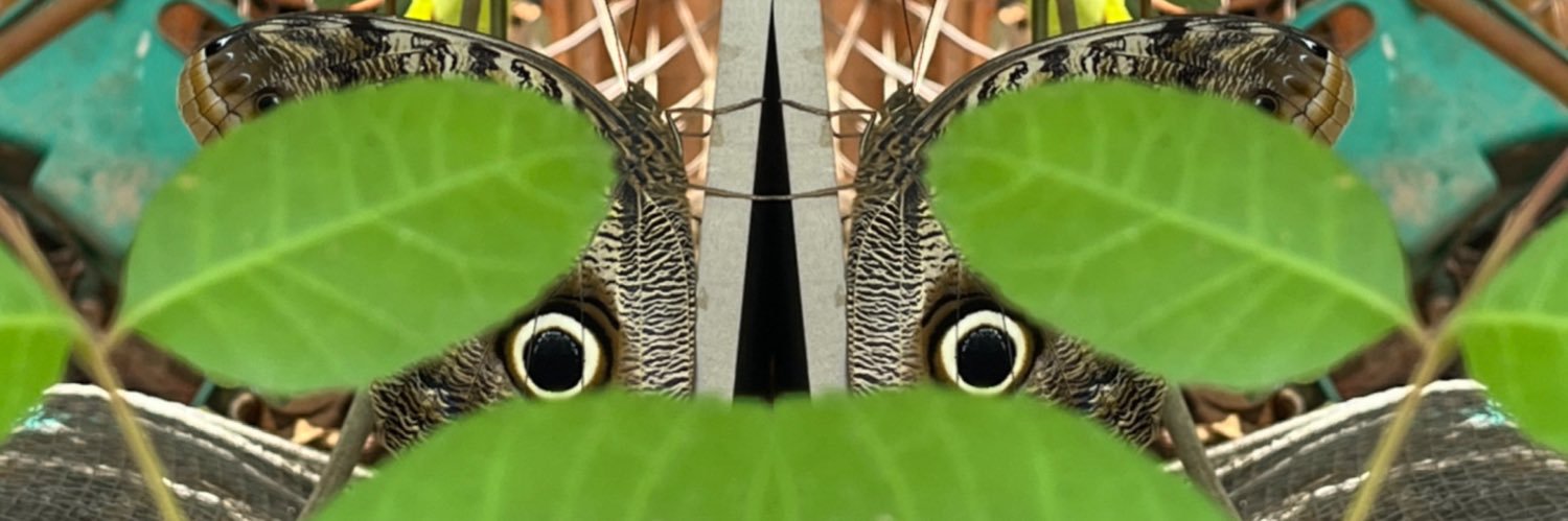 echo_paralaxe's profile banner image