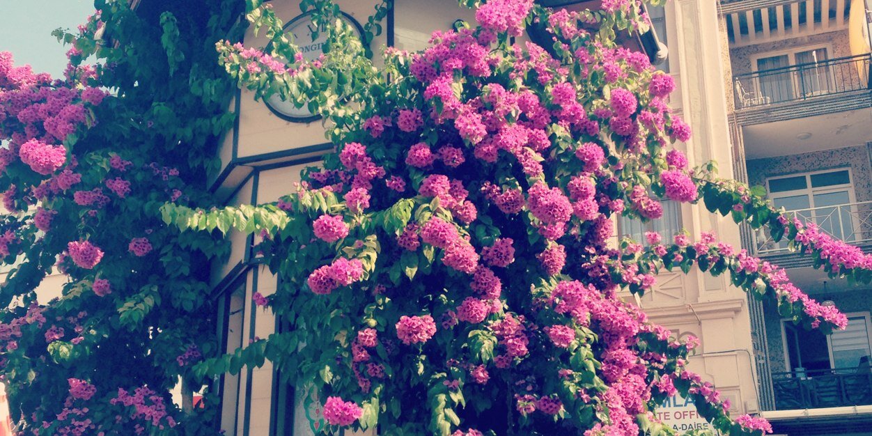 seymayildiz's profile banner image