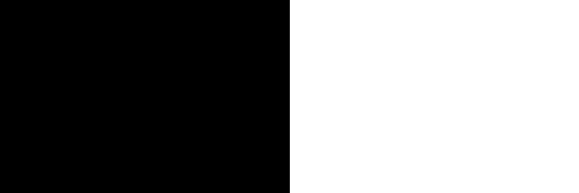 S.'s banner