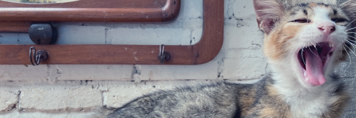e v a n a banner