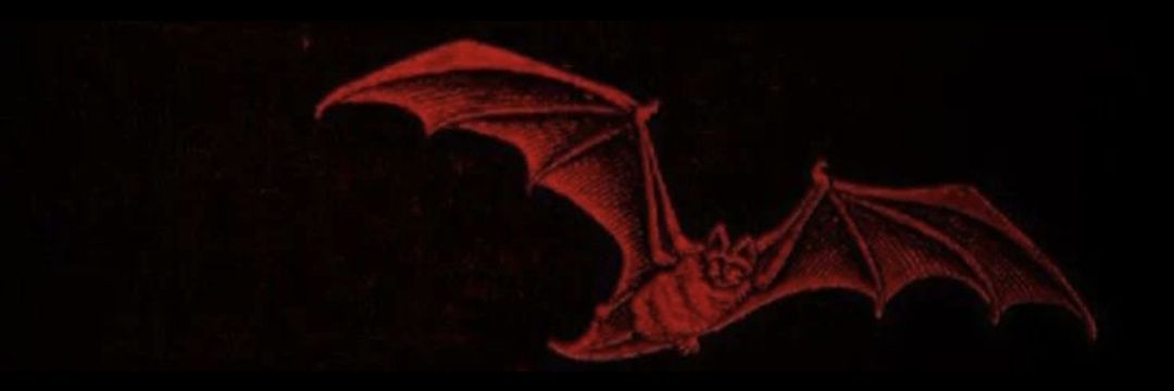 237dilligafpub's profile banner image