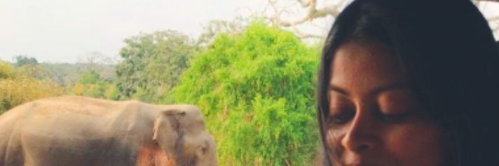 Maria14257's profile banner image