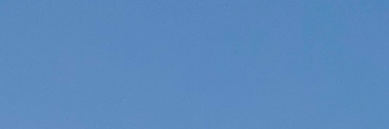 かも's banner