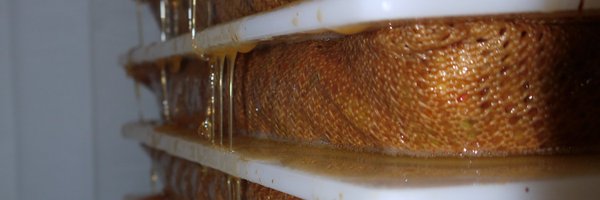 nottscider Profile Banner