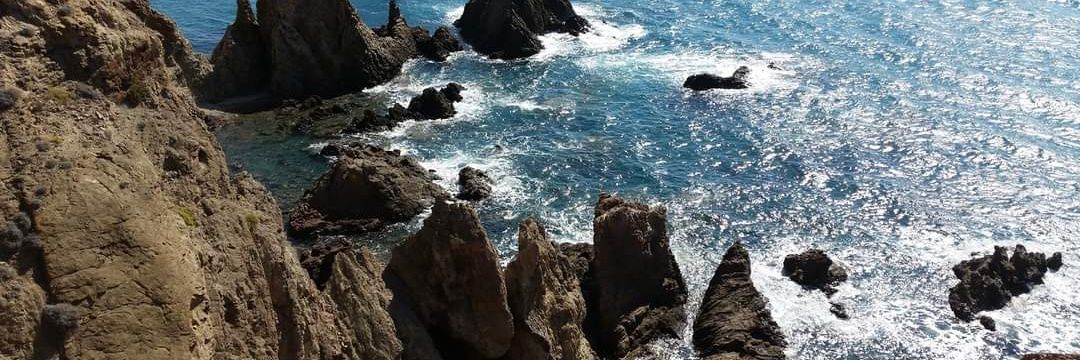 Mercedes Barranco banner