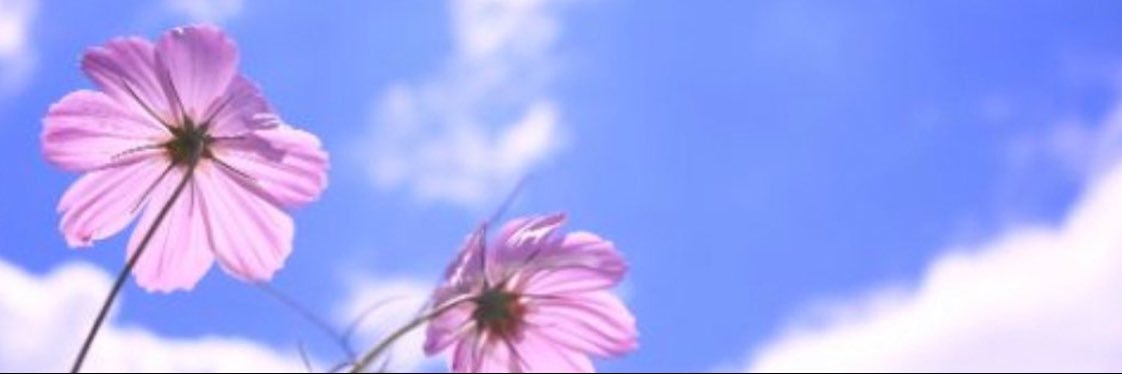 naomoon33's profile banner image