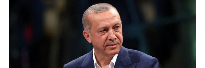 PNKAUS's profile banner image