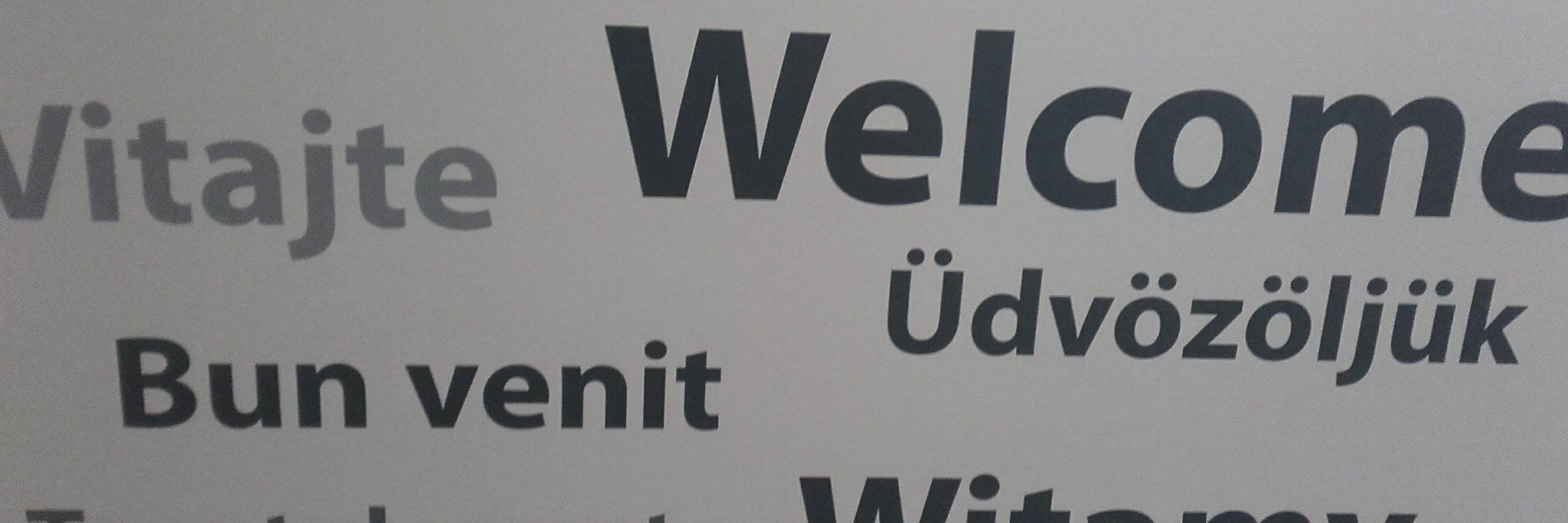 Daria Catalui banner