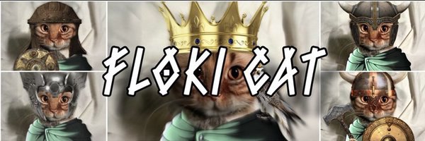 FlokiCatOnSol's profile banner image