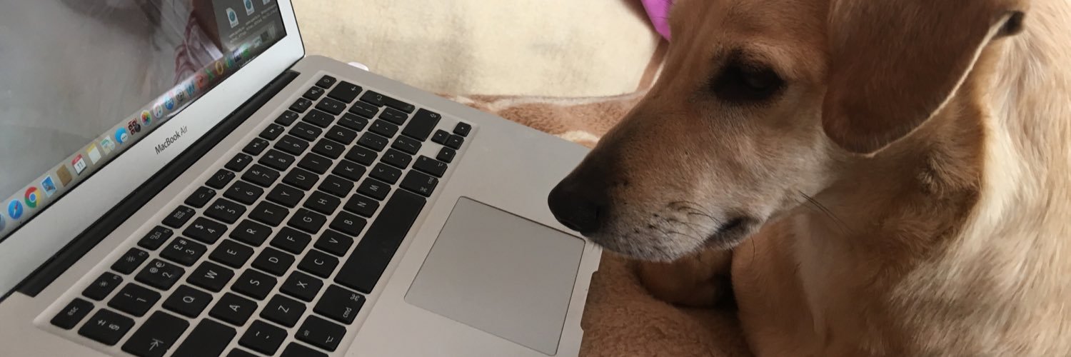 ElizzianFields's profile banner image