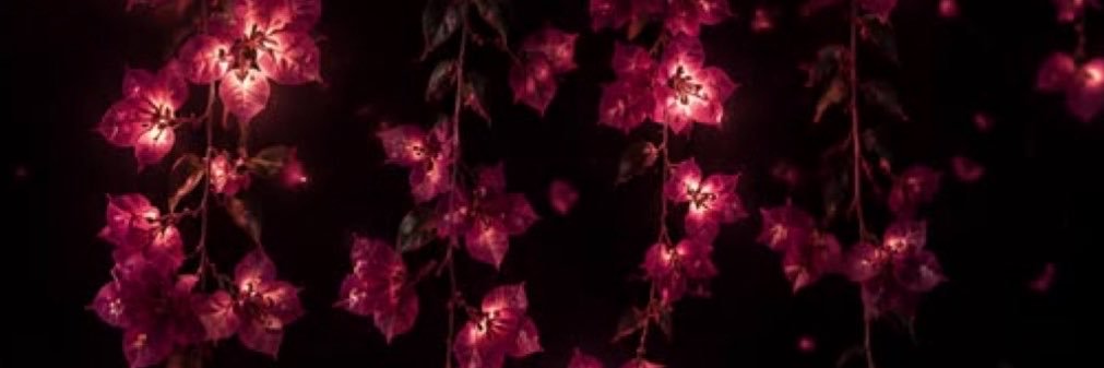 a7lanaselb's profile banner image