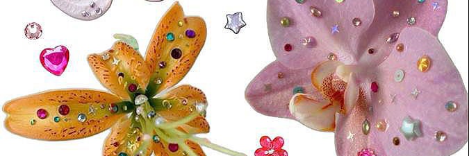 Caro banner