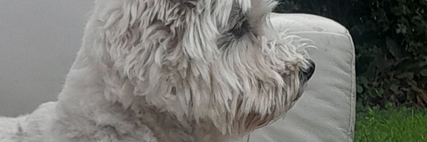 ColoRiqueno1978 Profile Banner