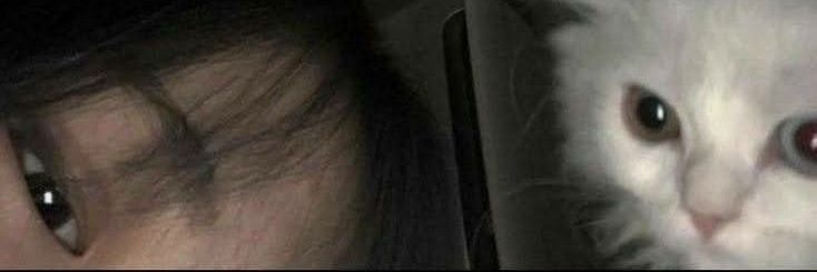 Ryta Venuclye banner