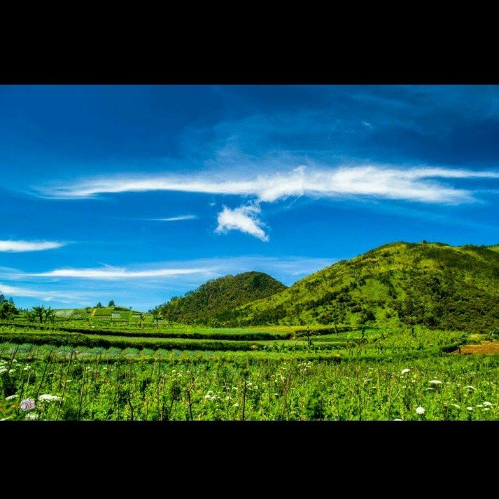 elfauzie's profile banner image