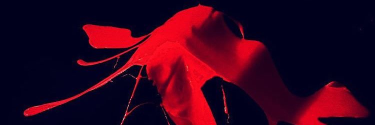 deepsix_aki's profile banner image