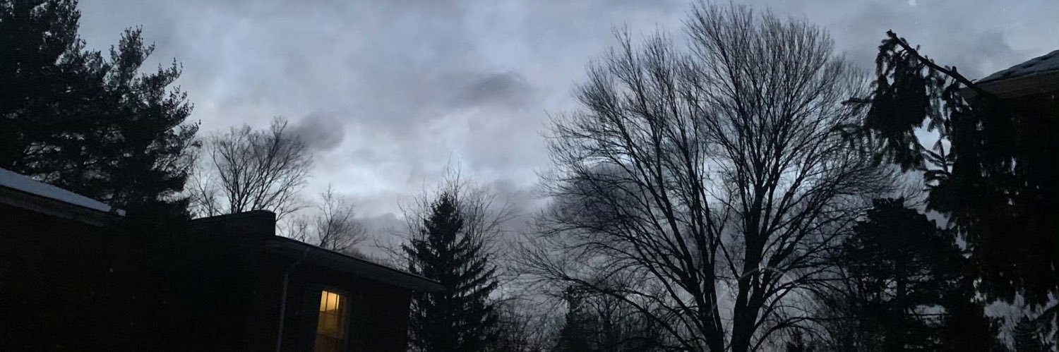 ianxin_'s profile banner image