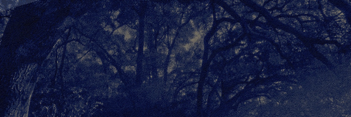 ‍ ‍ ‍ ‍ 𝓥𝖤𝖱𝖮𝖭𝖨𝖢𝖠. banner