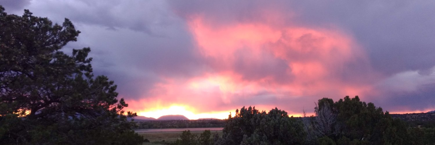 Larry O'Brien banner