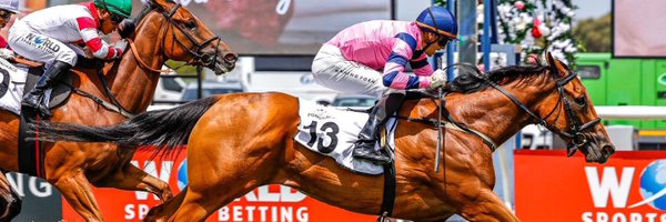 paardeberg_stud Profile Banner