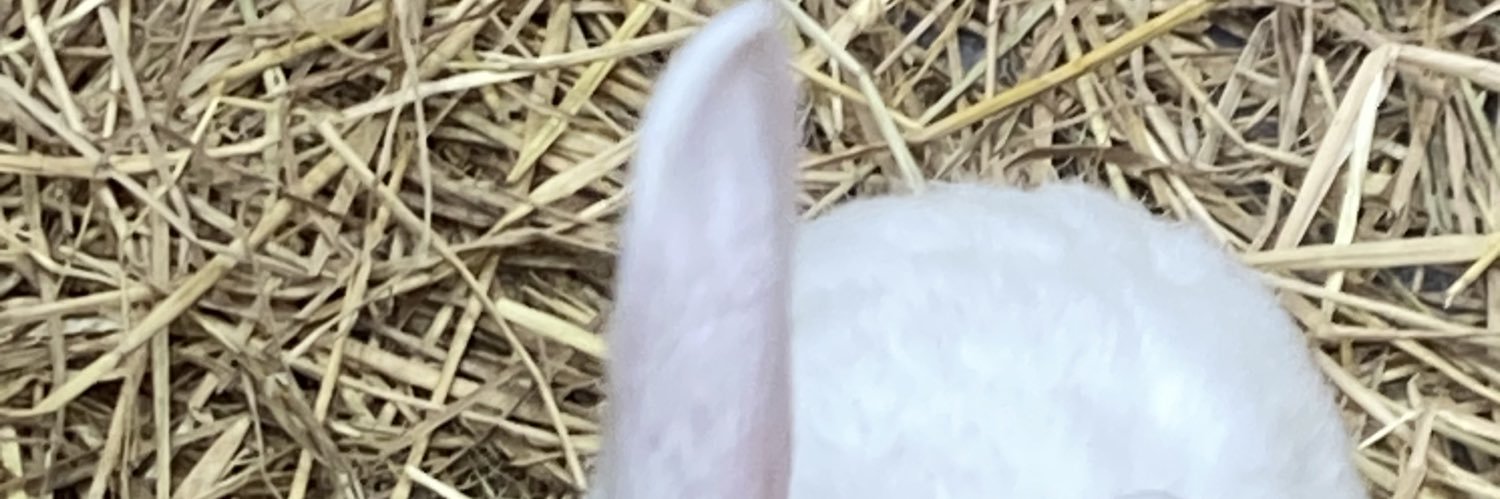 Jay Pee banner